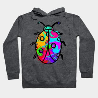 Colorful Ladybug Hoodie